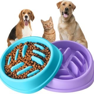 DOGO, slow feeder for dogs