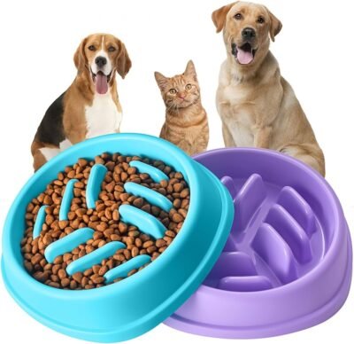 DOGO, slow feeder for dogs