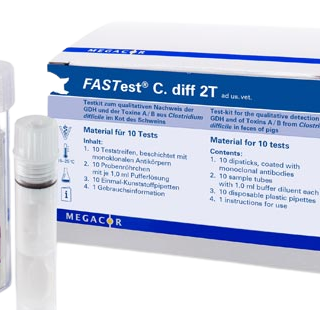 FASTest® C. diff 2T Testkit 10's