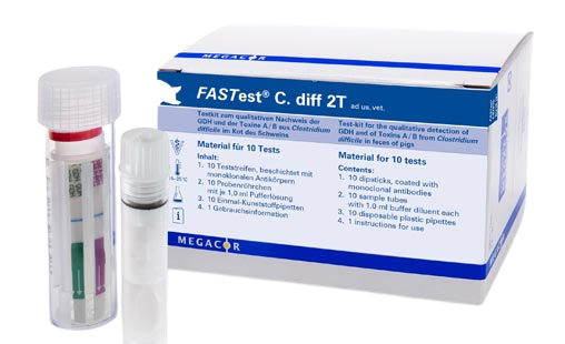 FASTest® C. diff 2T Testkit 10's