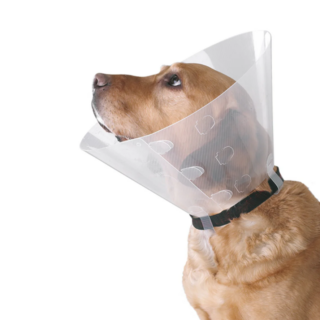FPC Elizabethan Collar