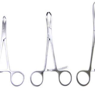 Bone Holding forceps
