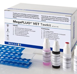 MegaFLUO® BABESIA canis s.sl. 10's