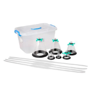 Feline/Canine Mask Set of 6 pcs